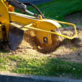 Grinding the Stump: The Key to Healthy Trees in Louisville, Kentucky