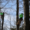 Certifications and Associations for Tree Care Services in Louisville, Kentucky