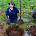 How to Properly Dig a Hole for Tree Planting in Louisville, Kentucky