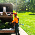 Proper Equipment and Techniques for Tree Care Services in Louisville, Kentucky