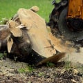 Expert Tips for Effective Chemical Removal of Tree Stumps