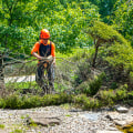 How to Handle Storm Damage: A Guide for Tree Care Services in Louisville, Kentucky