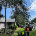 Top Tree Care Services in Louisville, Kentucky