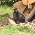 Preventing New Tree Growth in Louisville: The Importance of Stump Removal