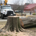 Digging Out the Stump in Louisville, Kentucky: A Guide to Professional Tree Care Services