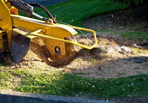 Grinding the Stump: The Key to Healthy Trees in Louisville, Kentucky