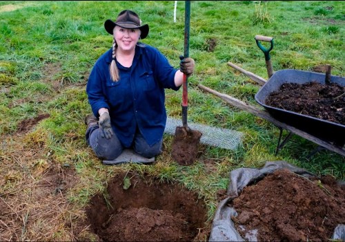 How to Properly Dig a Hole for Tree Planting in Louisville, Kentucky