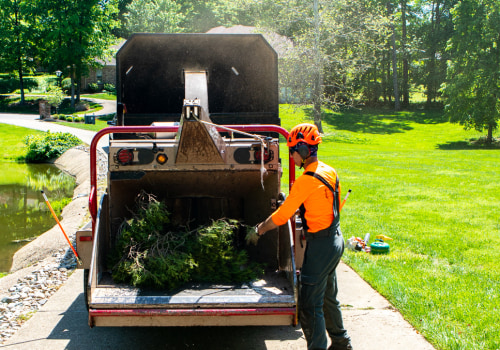 Proper Equipment and Techniques for Tree Care Services in Louisville, Kentucky