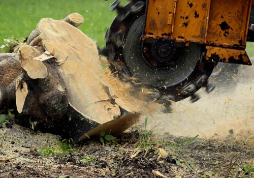 Expert Tips for Effective Chemical Removal of Tree Stumps