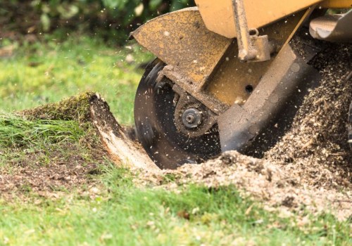 Preventing New Tree Growth in Louisville: The Importance of Stump Removal