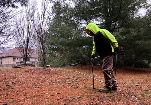 Fungicide Treatment: Protecting Your Trees in Louisville, Kentucky